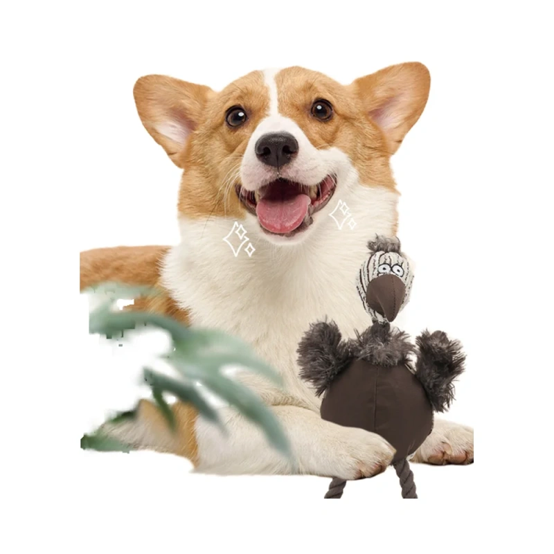 Teeth Grinding and Cleaning Bite-resistant Enhance the Interest a Wide Variety of Styles Are Available Pet Cotton-tailed Bird