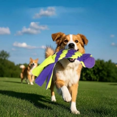 Wholesale Dog Toys High Quality Chew Eco Friendly Dog Toy Interactive Toys for Dog