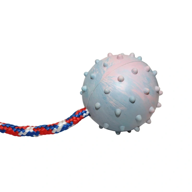 Pet Leaking Ball Toy Solid TPR Bite Resistant Dog Molar Toy Food Leaking Ball Pet Feeder Chew Toys for Large Dogs With Rope