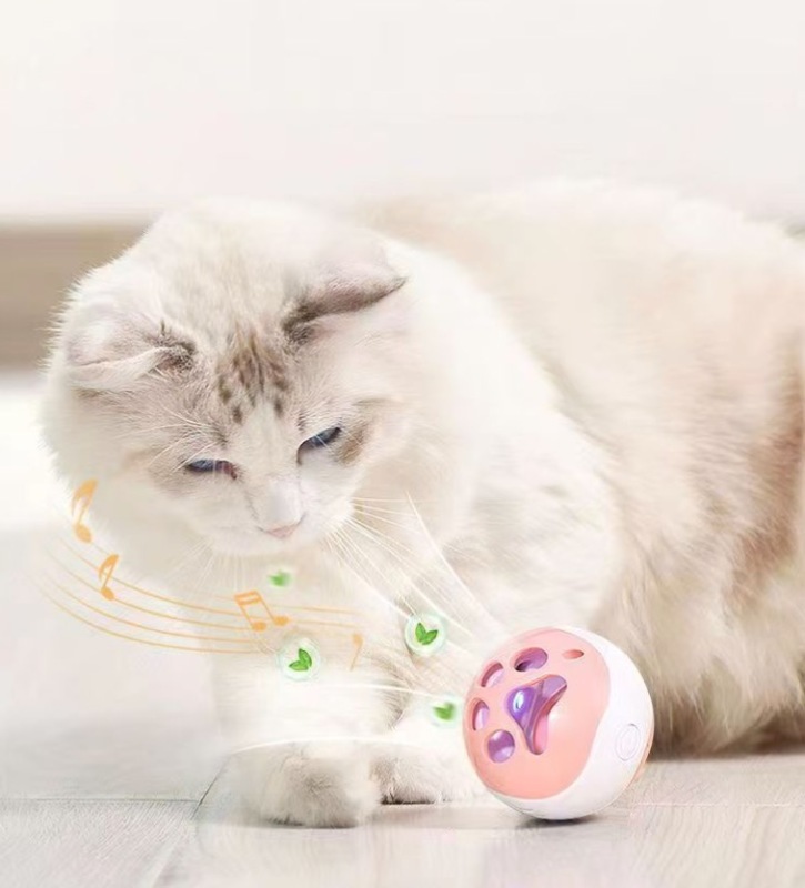 Electric cat toy ball