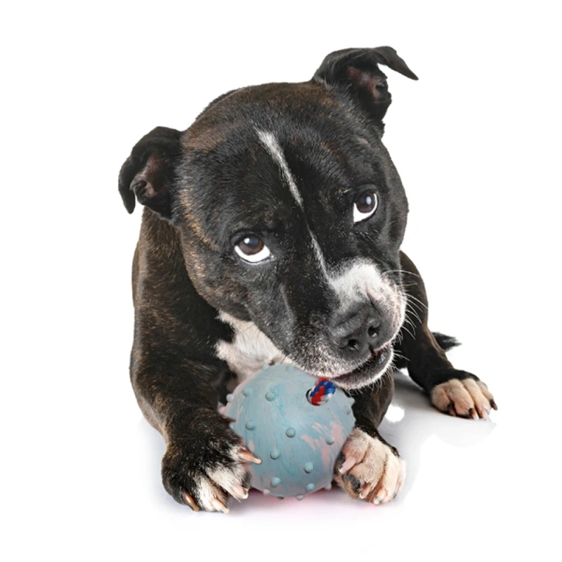 Pet Leaking Ball Toy Solid TPR Bite Resistant Dog Molar Toy Food Leaking Ball Pet Feeder Chew Toys for Large Dogs With Rope