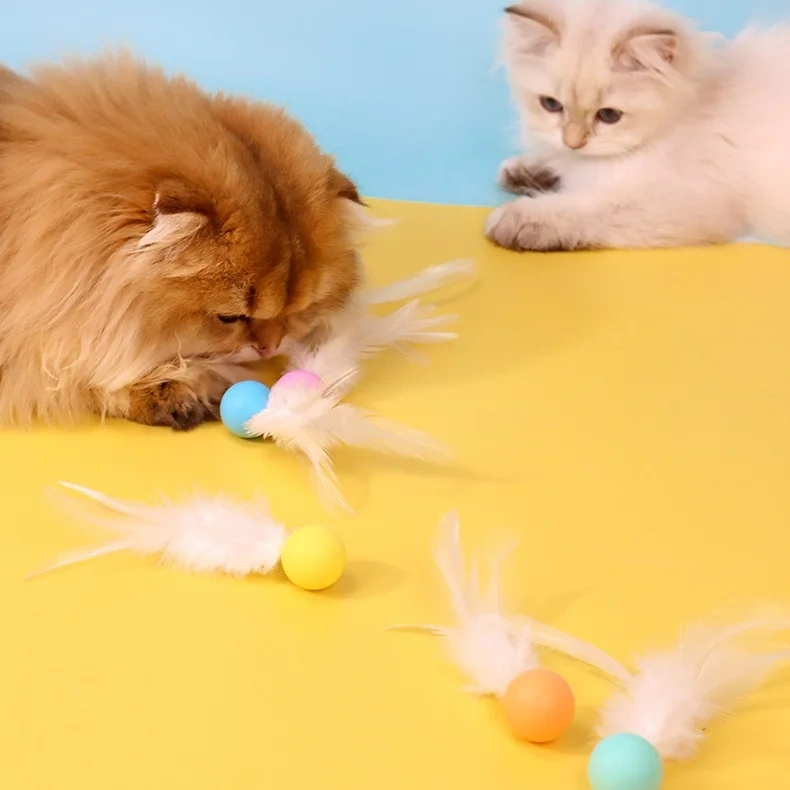 Durable Silicone Feather & Elastic Ball Pet Interactive Play Tableware Cat Teaser Toy