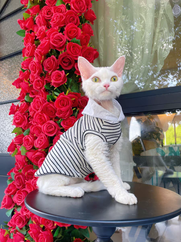 Summer pure cotton striped vest