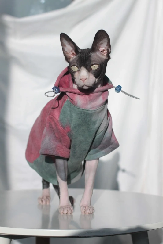 DUOMASUMI Sphynx Hairless Cat Clothes Devon Rex Clothing Autumn Winter Fleece-lined Warm Cats Jacket For Small Dog Cat Hoodie