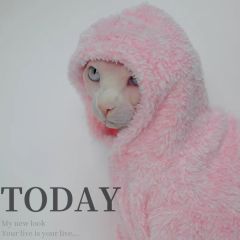 Pet  cardigan Autumn winter thick jacket for cat Sphinx Clothing hairless cat clothes