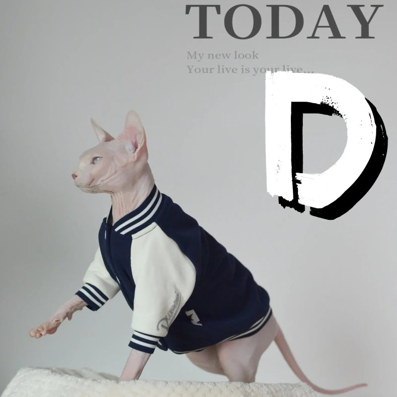 Super Soft Cat Baseball Shirt for Winter, Featuring Sphynx, Devon, Cornish and Kitten Breeds
