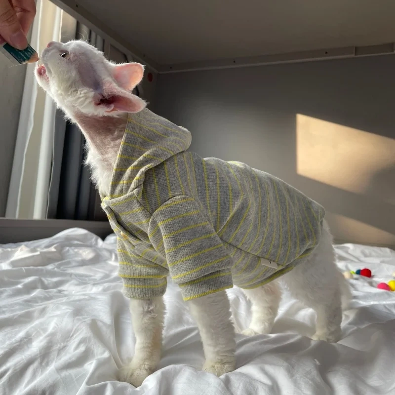 Green Striped Hooded Sweatshirt for Sphinx Cat in Autumn Long Sleeves Warm Coat for Devon Rex Soft Spring Costume for Kittens