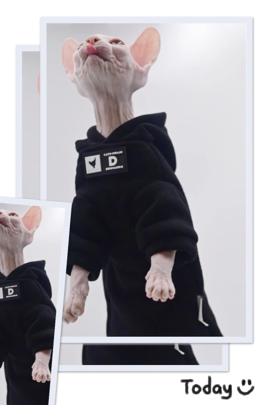 DUOMASUMI Cat Hoodie for Hairless Breeds - Fashion Spring/Fall Pullover for Sphynx, Devon Rex, Cornish Rex& Abyssinian Cats