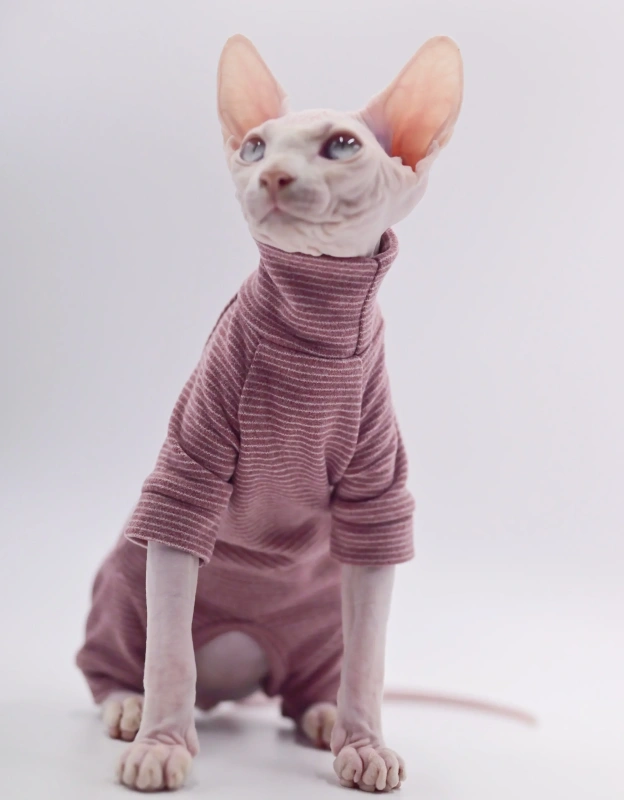 Hairless Cat Clothes, Warm and Soft, Four-Legged Hoodie for Sphynx Cats, Autumn and Winter, Devon Rex, Cornish