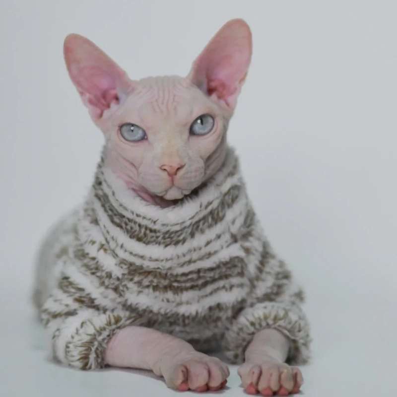 Hairless Cat Clothes Thick, Warm,Winter Four-Legs for Sphynx, Devon Rex, Cornish Rex, Abyssinian, and Small Kitten