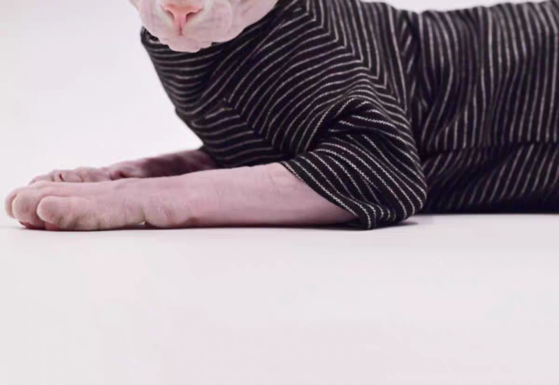 Hairless Cat Clothes, Warm and Soft, Four-Legged Hoodie for Sphynx Cats, Autumn and Winter