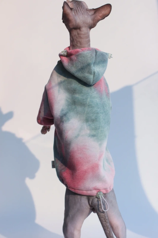 DUOMASUMI Sphynx Hairless Cat Clothes Devon Rex Clothing Autumn Winter Fleece-lined Warm Cats Jacket For Small Dog Cat Hoodie