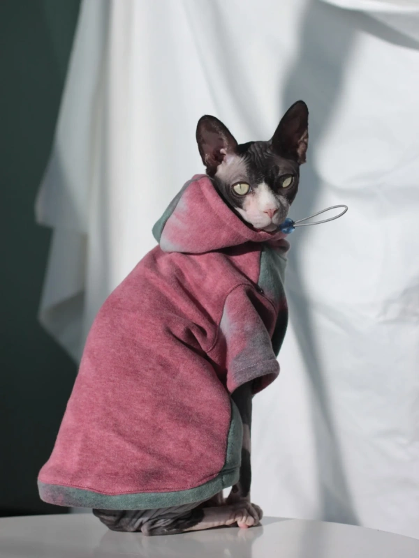 DUOMASUMI Sphynx Hairless Cat Clothes Devon Rex Clothing Autumn Winter Fleece-lined Warm Cats Jacket For Small Dog Cat Hoodie