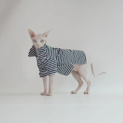 Sphynx Cat Clothes Summer Cool Breathable Soft Outfit for Hairless Cats Devon Rex Abyssinian