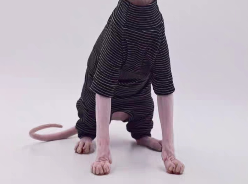 Hairless Cat Clothes, Warm and Soft, Four-Legged Hoodie for Sphynx Cats, Autumn and Winter