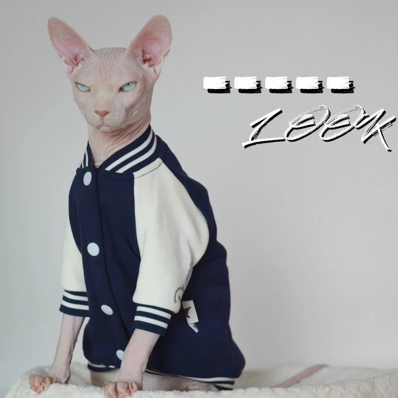 Super Soft Cat Baseball Shirt for Winter, Featuring Sphynx, Devon, Cornish and Kitten Breeds