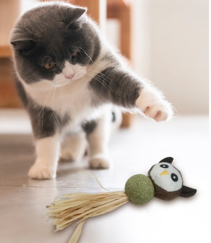 Catnip teething toys