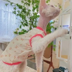 Breathable Mesh Cotton T-shirt for Hairless Cat Sweet Red Floral Summer Vest for Sphynx Cat Devon Rex Loungewear in Spring