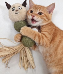 Catnip teething toys