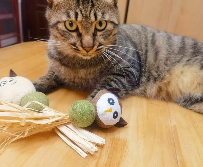 Catnip teething toys