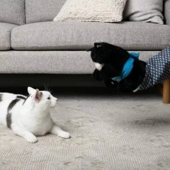 Cat Pet Toy Gloves Interactive Cat Toys Cat Wrestling Gloves Cat Wrestling Toys Puppet Cat Toys Pet Supplies Cat Dolls Catnip