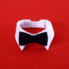 Pet Velvet Bow Tie