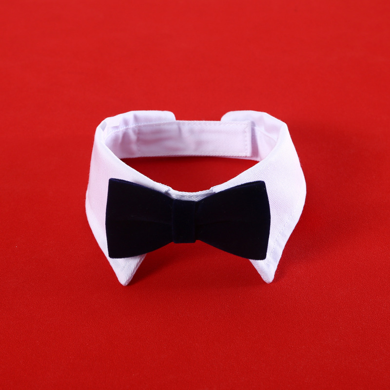 Pet Velvet Bow Tie