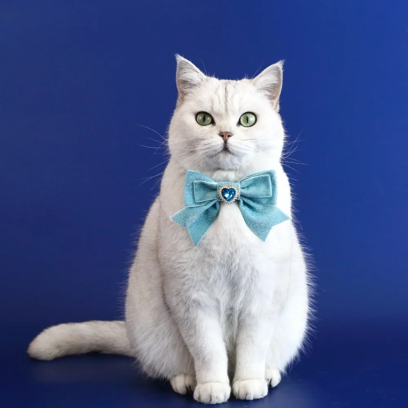 1pcs Cats Collar Adjustable Anti-Choking Puppy Necklace Heart Shape Velvet Bow Tie Dog Collar Rhinestone Decoration Pet Collar