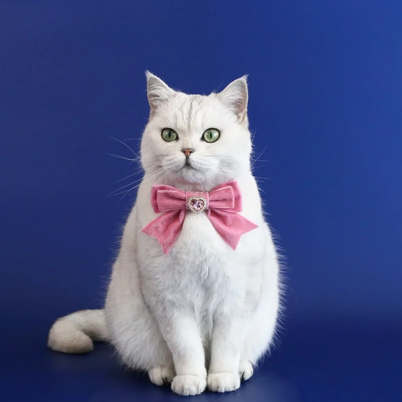 1pcs Cats Collar Adjustable Anti-Choking Puppy Necklace Heart Shape Velvet Bow Tie Dog Collar Rhinestone Decoration Pet Collar