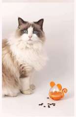 Cat food-dispensing roly-poly toy