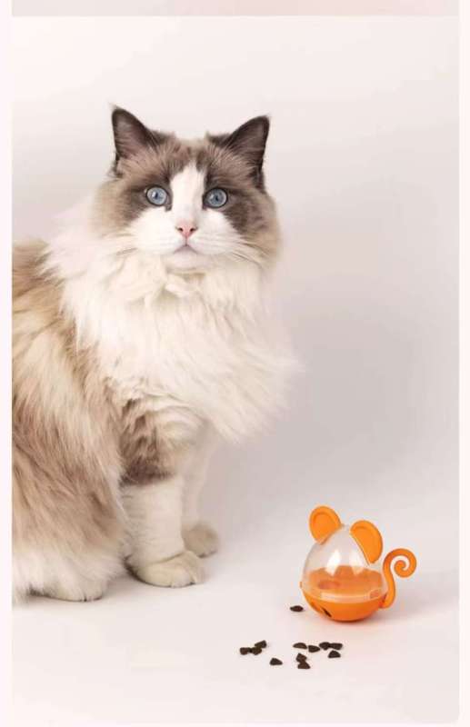 Cat food-dispensing roly-poly toy