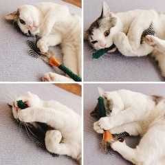 Catnip Toy Feather Simulation Fish Molar Teething Teeth Stick Cat Chew Catch Toys Natural Silvervine Catnip Toys Sticks For Cat