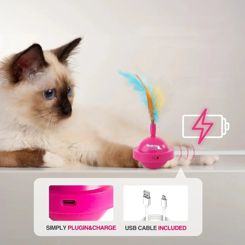 USB-Chargeable Interactive Cat Tease Toy 360° Automatic Rotation Plastic Training Stick Bite-Resistant Bowl Feather for Pet