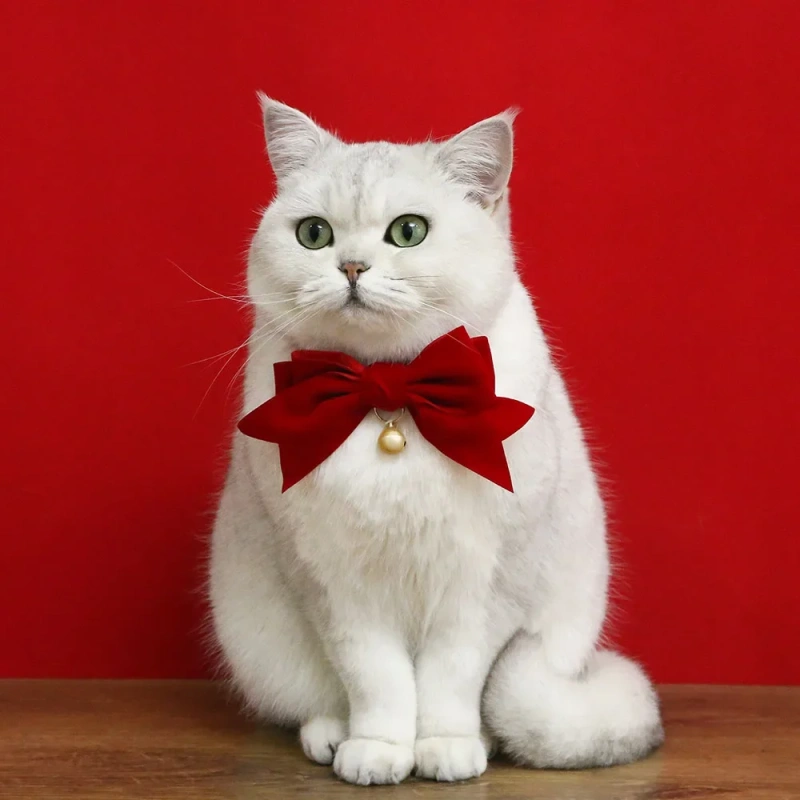 Breakaway Cat Collar with Bell Adjustable Velvet Cat Big Bowtie Collar Wedding Christmas Pet Accessories for Puppies Small Dogs