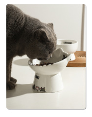 Luckcat cat ceramic bowl