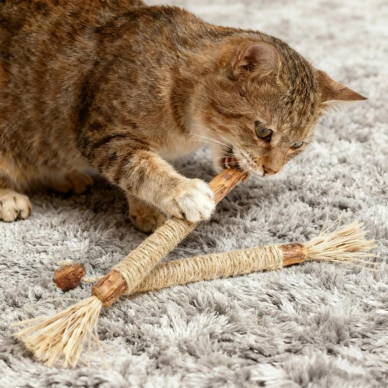 Cat Toys Cleaning Teeth Silvervine Chew Stick Pet Snacks Sticks Natural Stuff with Catnip for Kitten Catnip Teasing Chew Toys