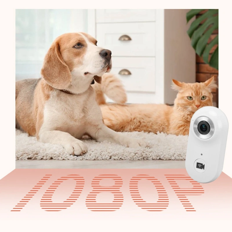 Pet Collar Camera  USB Electronic Stabilisation 2.4G Wireless Fidelity Wearable Video Recorder with APP for Outdoor Sports