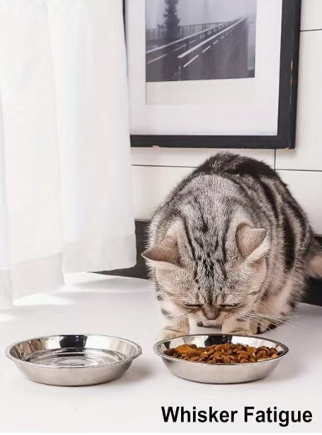 Stainless Steel Pet Bowl Dishwasher Safe Easy Clean