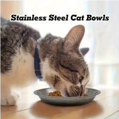 Stainless Steel Pet Bowl Dishwasher Safe Easy Clean