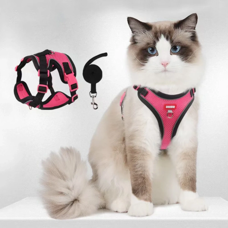cat Chest Harness and Leash, Anti-Escape Adjustable Soft mesh cat Leash and Chest Harness Set for All Types of Cats