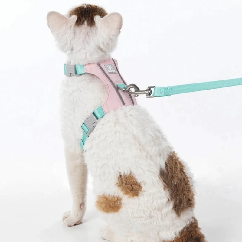 Cat Quick Drying Traction Rope Set Summer Comfortable Light Reflective Pet Traction Slip Cat Rope  Anti Slip Cat Traction Rope