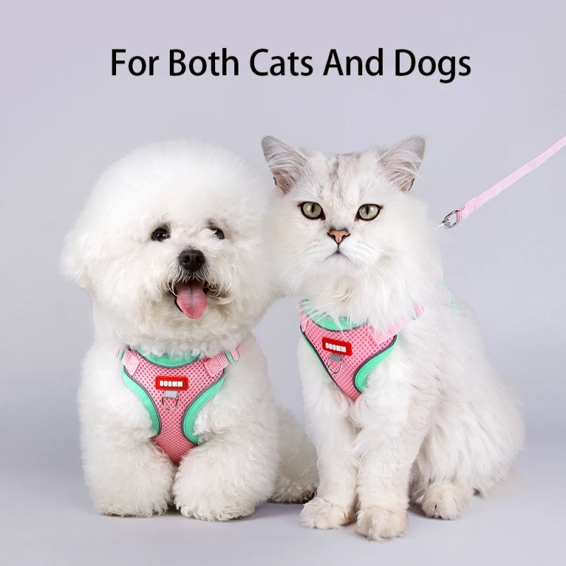 cat Chest Harness and Leash, Anti-Escape Adjustable Soft mesh cat Leash and Chest Harness Set for All Types of Cats