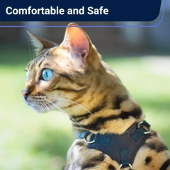 Eco-friendly Escape Proof Dog Harness and Leash Set by OutdoorBengal and Solid Nylon Small Dog Harness for Walking