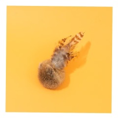 Real rabbit fur cat Silent Ball toys