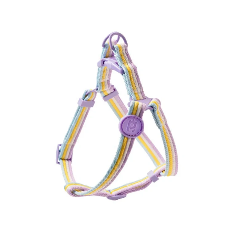 Fashionable Pet Collar & Comfort Dog Harness Vest Pet Leash for Small Medium Dogs Outdoor Pet Walking Accessories