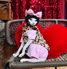 Pink cat-print leopard vest