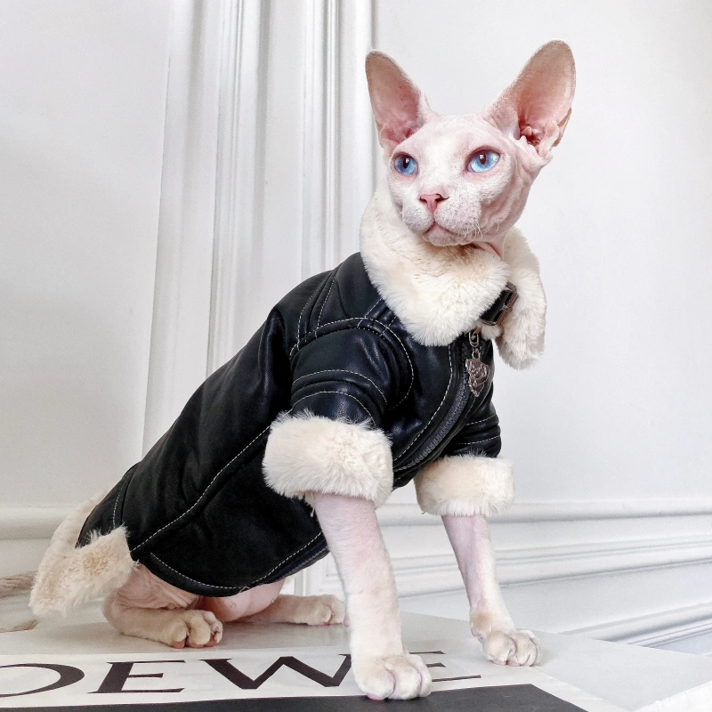 Fashion Sphynx Cat Leather Biker Jacket Fur Coat Kitten Cat Clothes Luxury Warm Costumes For Sphinx Devon Cat ropa para gato
