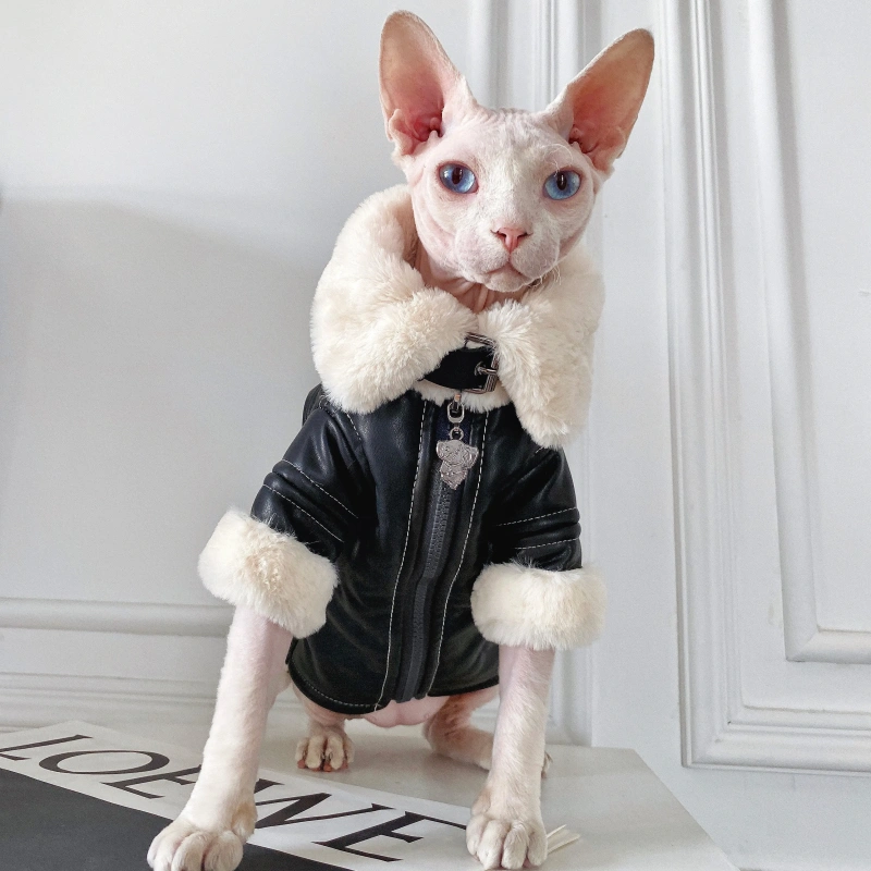 Fashion Sphynx Cat Leather Biker Jacket Fur Coat Kitten Cat Clothes Luxury Warm Costumes For Sphinx Devon Cat ropa para gato