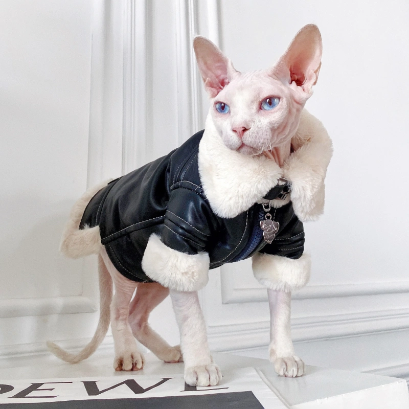 Fashion Sphynx Cat Leather Biker Jacket Fur Coat Kitten Cat Clothes Luxury Warm Costumes For Sphinx Devon Cat ropa para gato