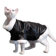 Leather jacket autumn and winter  cat coat